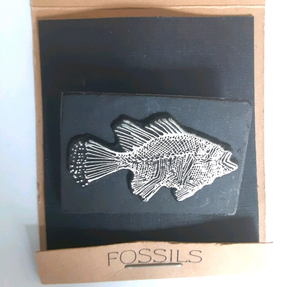 Ocean perch fish fossil pin, NEW - Picture 1 of 6